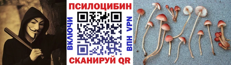 Псилоцибиновые грибы ЛСД  Пошехонье 